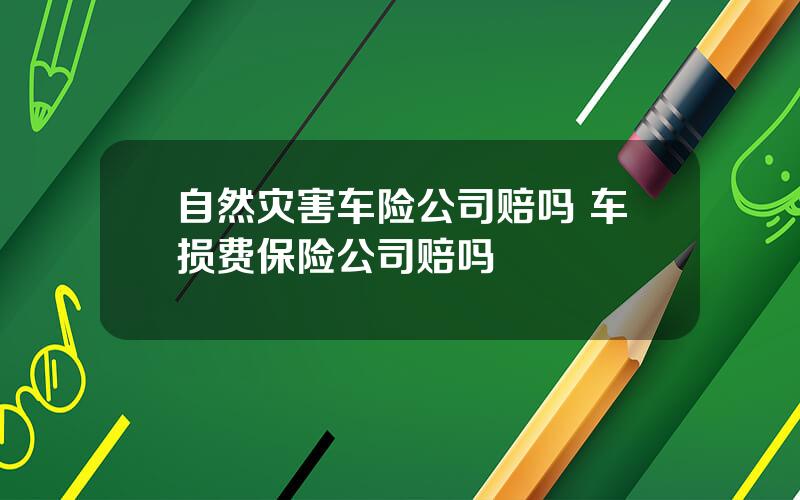 自然灾害车险公司赔吗 车损费保险公司赔吗